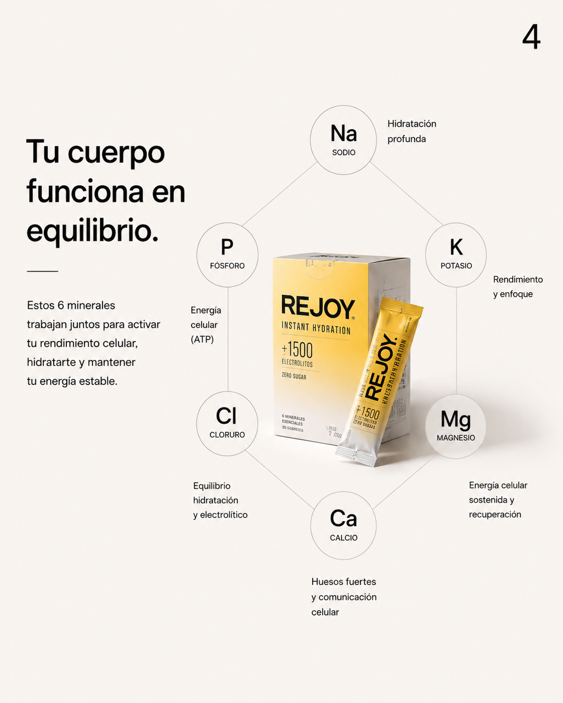 El Equilibrio que enciende tu Energía Real.